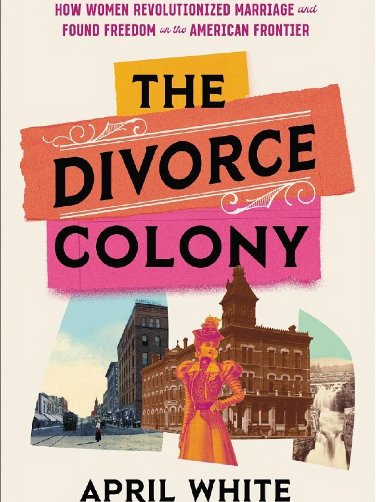 the divorce colony book cover