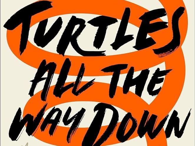 book cover for Turtles all the Way Down